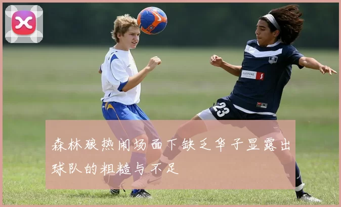森林狼热闹场面下缺乏华子显露出球队的粗糙与不足